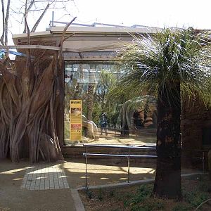 Terra de Dragons - Zoo Barcelona