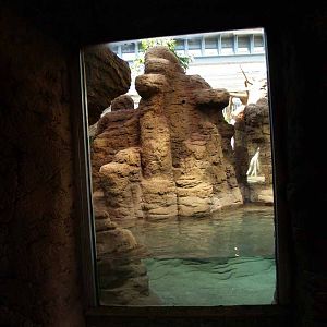 Terra de Dragons - Zoo Barcelona