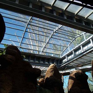 Terra de Dragons - Zoo Barcelona