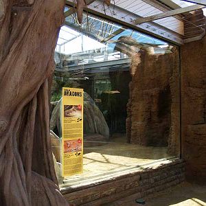 Terra de Dragons - Zoo Barcelona