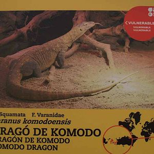 Terra de Dragons - Zoo Barcelona