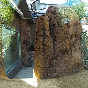 Terra de Dragons - Zoo Barcelona