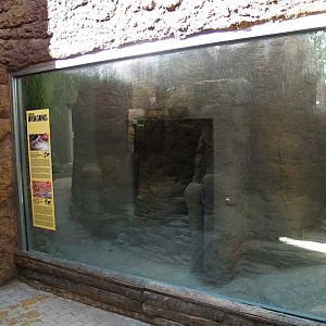 Terra de Dragons - Zoo Barcelona