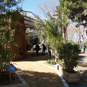 Terra de Dragons - Zoo Barcelona