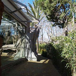 Terra de Dragons - Zoo Barcelona