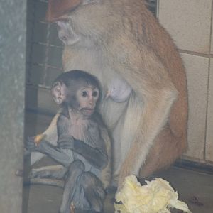 Berlin tierpark July 08