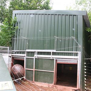Pygmy hippo house - - South lakes wild animal park 08