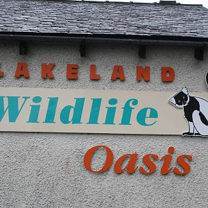 Lakeland oasis 08