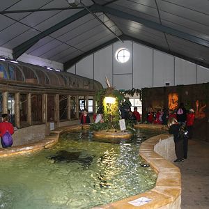 Reptile house - Blackbrook 08