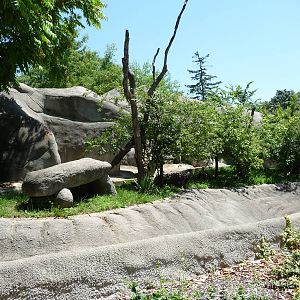 Coatimundi Exhibit - Detroit Zoo