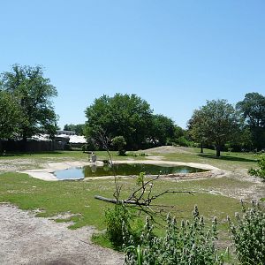 Brazilian Tapir Exhibit - Detroit Zoo