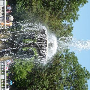 Central Fountain - Detroit Zoo