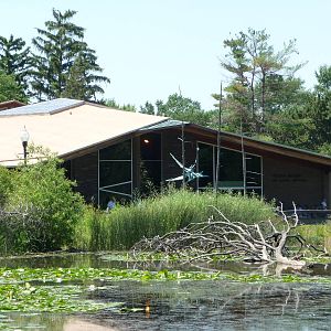Reptile House - Detroit Zoo