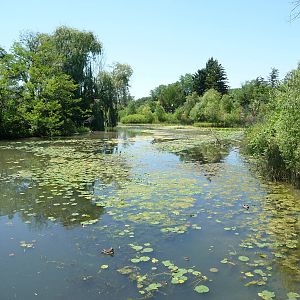 Amphibiville - Detroit Zoo