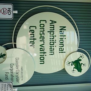 Amphibiville - Detroit Zoo