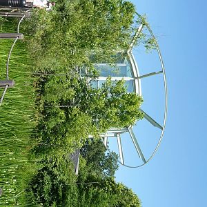 Amphibian Building - Detroit Zoo