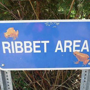 Amphibiville - Detroit Zoo