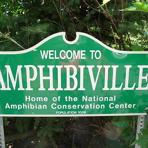 Amphibiville - Detroit Zoo