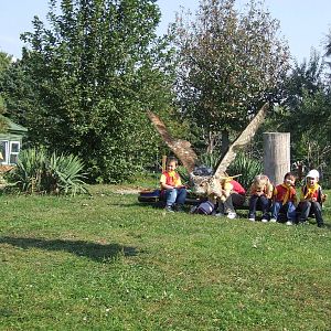 Bird demonstration, Eurasian eagle owl @ Jászberény Zoo, Hungary