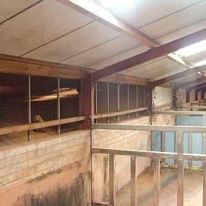 Rhino stalls and baboon housing at South Lakes WAP 2008