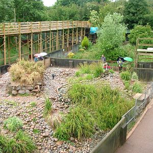 Penguin and bettong enclosures at South Lakes WAP 2008
