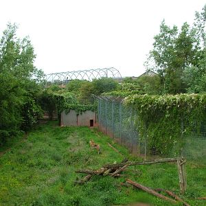 Tiger enclosures at South Lakes WAP 2008