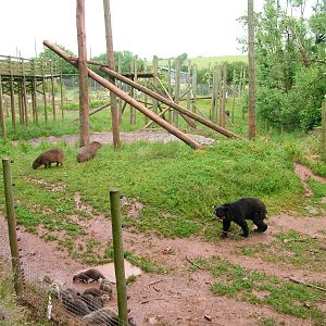 South American enclosure at South Lakes WAP 2008