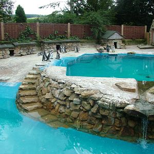 Penguin Pool at Harewood 2007