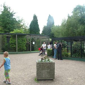 Aviaries at Lotherton 2007