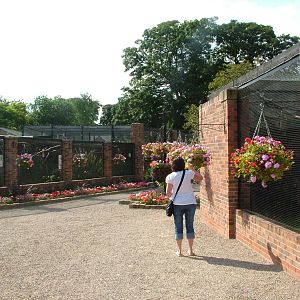 Brick-built Aviaries at Lotherton 2007