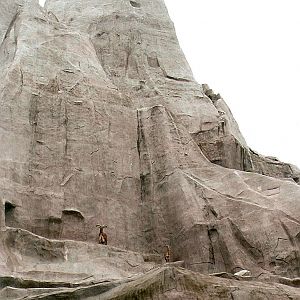 Barbary Sheep on the Grand Rocher at Vincennes 2002