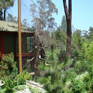 China exhibit at the Los Angeles Zoo