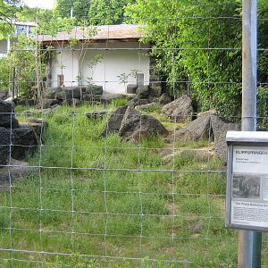 Klippspringer exhibit at the sheep mountain