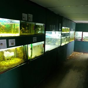 aquarium section at Landon Creek