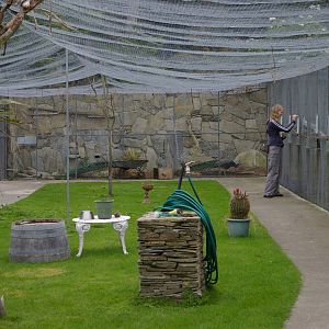 Landon Creek Bird Sanctuary, NZ
