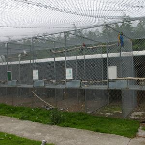 Landon Creek Bird Sanctuary, NZ