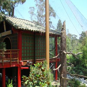 China exhibit at the Los Angeles Zoo