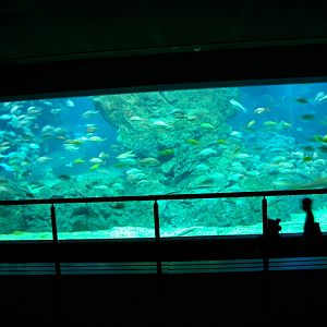 Siam Ocean World, Bangkok