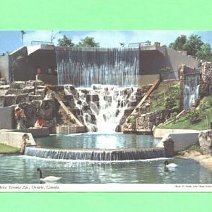 Toronto Zoo postcards