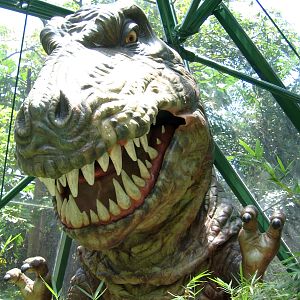 Tyrannosaurus Rex - Jul 2003