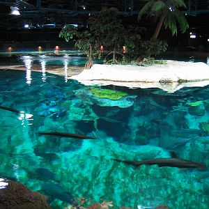 Aquarium - Jul 2003