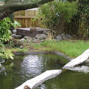 Poppa the Otter - Nov 2003