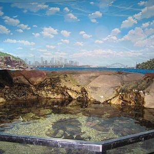 Painted view - Apr 2004