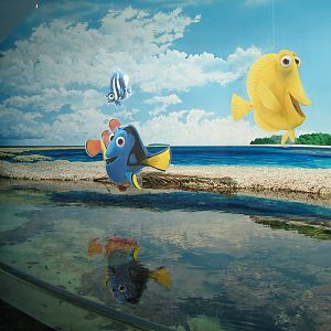 The Nemo section - Apr 2004