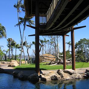 Waiting for elephants - Feb 2006