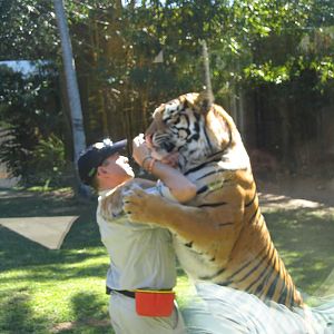 Tiger hug - Jul 2007