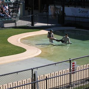 Big snake - Jul 2007