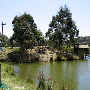 Lemur island - Dec 2003