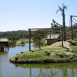 Waiting for Spider Monkeys- Dec 2003