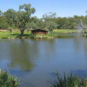 Western Plains Zoo - Jan 2004